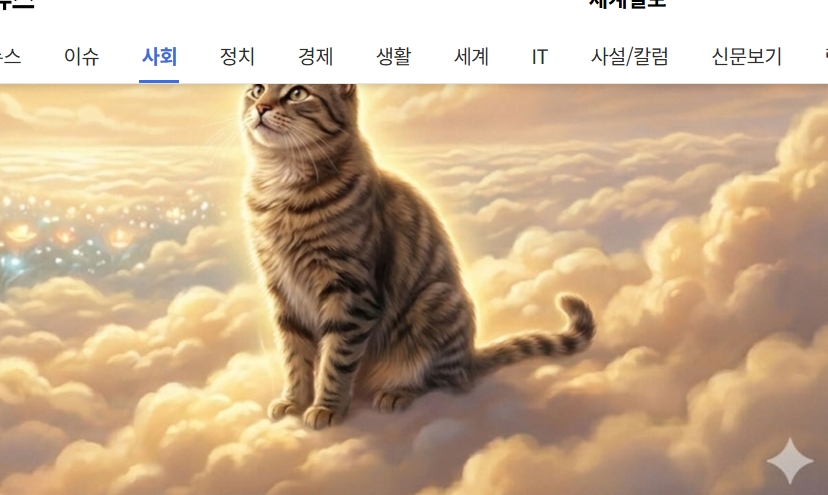 무지개다리건넜는데어떡하죠”…41%가반려동물, 불법으로묻었다 [수민이가화났어요]